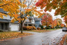 自住转出租 45(3):继续算自住房 3 个申报要点-加拿大大