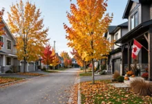 首付 5% vs 20%:CMHC 保费最高 4% 怎么算-加拿大大