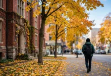 留学生医保缺口:UHIP 之外 4 类自费项目-加拿大大
