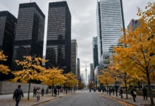 遗产股票视同处置:去世当年 3 个申报-加拿大大