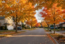 CMHC 按揭保险:首付不足 20% 的 4 档保费-加拿大大