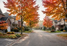 Spousal RRSP:夫妻收入差距大,3 年归属规则-加拿大大