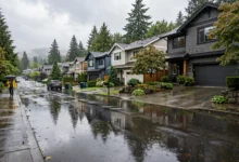房屋保险：水灾地震附加险 4 个必问条款-加拿大大