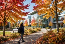 学费直汇学校:3 个省手续费技巧-加拿大大