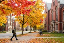 留学生兼职报税:3 个抵扣项全攻略-加拿大大