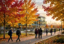 PAL 省级证明信全解:学签申请新增材料的 3 个获取步骤怎么办-加拿大大