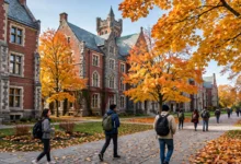 学签被拒调档 GCMS:3 个看懂拒签理由的技巧全解-加拿大大