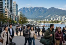 BC PNP 200 分打分制：6 个提分项全解-加拿大大