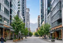 BC 企业家基础类别:30 万净资产的 4 个打分项全解-加拿大大