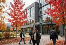 双学位 3+2 项目：5 年 2 个学位的 3 个移民加分全解-加拿大大