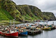NL 省企业家移民：2 条路加渔业旅游 3 个方向-加拿大大