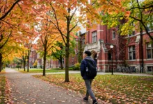 学签被拒 4 大理由:学习计划 3 个重写技巧-加拿大大