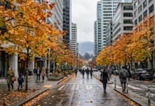 幽灵中介：4 个识别信号-加拿大大