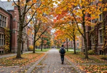 留学生休学一学期学签影响全解：5个复学证明怎么办-加拿大大