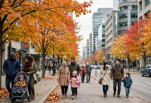 人道主义同情申请全解:6个考量因素与证据怎么办-加拿大大
