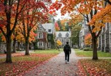 学签休学全解：3个休学期限与身份怎么办-加拿大大