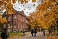 学签拒签 3 大雷区:资金、学习计划、回国约束力怎么写才过-加拿大大