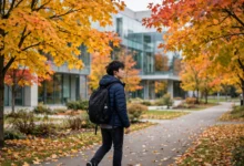 学签被拒后转旅游签:境内递交 2 个风险全解-加拿大大