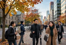 EE 抽分涨跌背后的 3 个规律:什么时候分数线最低-加拿大大
