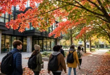 私立 DLI 转公立：学分转移 4 步加学签更新-加拿大大