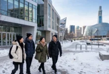 College 2 年移民:曼省工作 6 个月就提名-加拿大大
