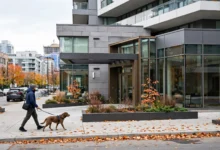 condo养狗被罚：宠物细则vs安省法律3个效力层级-加拿大大