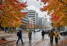 丧假2天:安省bereavement leave适用范围3类亲属-加拿大大