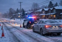 酒驾被吊销驾照：加拿大 impaired driving 4 档处罚与 1 年禁驾全解-加拿大大