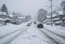 雪天事故责任：加拿大冬季驾驶 7 个举证要点与保险理赔全解-加拿大大