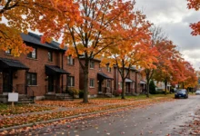 房东租金收入漏报：加拿大出租房 5 类抵扣与 2 个审计红线全解-加拿大大