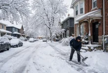 雪天铲雪不及时被罚:安省业主门前人行道铲雪bylaw时限各市对比3例-加拿大大
