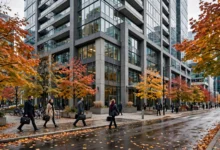工会会员被处分:劳工关系委员会申诉的流程全解-加拿大大
