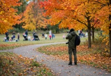 在公园拍摄他人孩子被指控骚扰:加拿大公共场所拍摄的3个法律边界-加拿大大