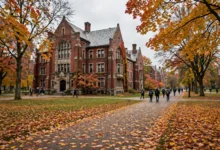 学签被移民局抽查出勤:加拿大DLI合规审查,学签取消前自救3步-加拿大大