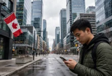 加拿大信用修复骗局:花钱洗白信用报告,合法边界全解-加拿大大