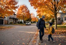 40%共同抚养：shared custody抚养费offset 4步核算-加拿大大