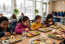 学校午餐 lunch program:4 种模式、补贴 3 步申请全解-加拿大大