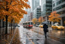 加拿大请病假全解:sick days 几天、医生 note 老板能要吗怎么办-加拿大大