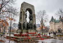 Remembrance Day：11 月 11 日、poppy 4 个礼仪全解-加拿大大