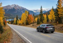 加拿大车险降价全解:telematics 4 款、bundling 3 招、事故后涨多少怎么办-加拿大大
