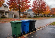 加拿大垃圾分类全解：green bin 4 类、blue box 3 个误区、大件 5 步怎么办-加拿大大