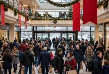 加拿大 boxing day 全解：12 月 26 日 4 个必蹲、退货 3 招、人挤人 5 招怎么办-加拿大大