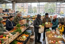 food bank 怎么用全攻略:新移民能领吗、5 步登记不尴尬怎么办-加拿大大