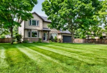 草坪 lawn care 全攻略：一年 4 次施肥、杂草 5 招怎么办-加拿大大