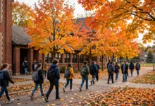 加拿大校园霸凌申诉全流程：取证 4 步、学校处理 3 级、申诉无果 2 条路怎么办-加拿大大