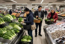 加拿大华人超市买菜全攻略:新鲜度 4 辨法、调料 3 囤货、价格陷阱怎么办-加拿大大
