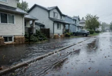 加拿大暴雨洪水应对全解：预警 3 级、居家 5 准备、保险理赔怎么办-加拿大大