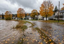 洪水区买房查询全解：flood plain 地图、保险贵 3 倍-加拿大大