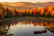 秋色 Algonquin 全解：9 月底、5 条步道-加拿大大