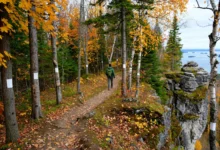 Bruce Trail 分段徒步全解：900 公里、5 段新手-加拿大大